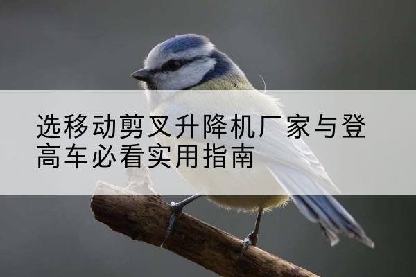迭部电动升降机厂家-选移动剪叉升降机厂家与登高车必看实用指南