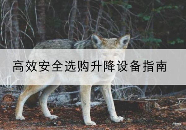 迭部升降货梯厂家推荐-*安全选购升降设备指南