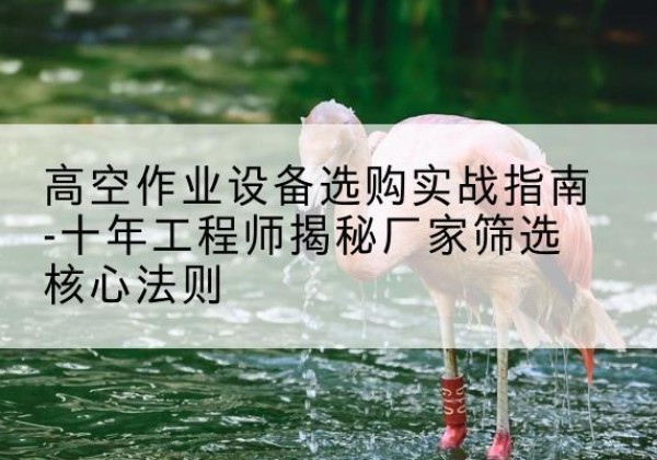 迭部剪叉式升降机厂家-高空作业设备选购实战指南-十年工程师揭秘厂家筛选核心法则